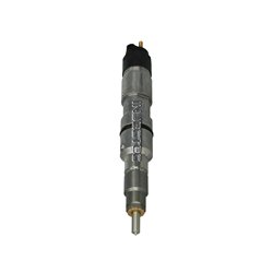 51101006070 BOSCH Injectoare