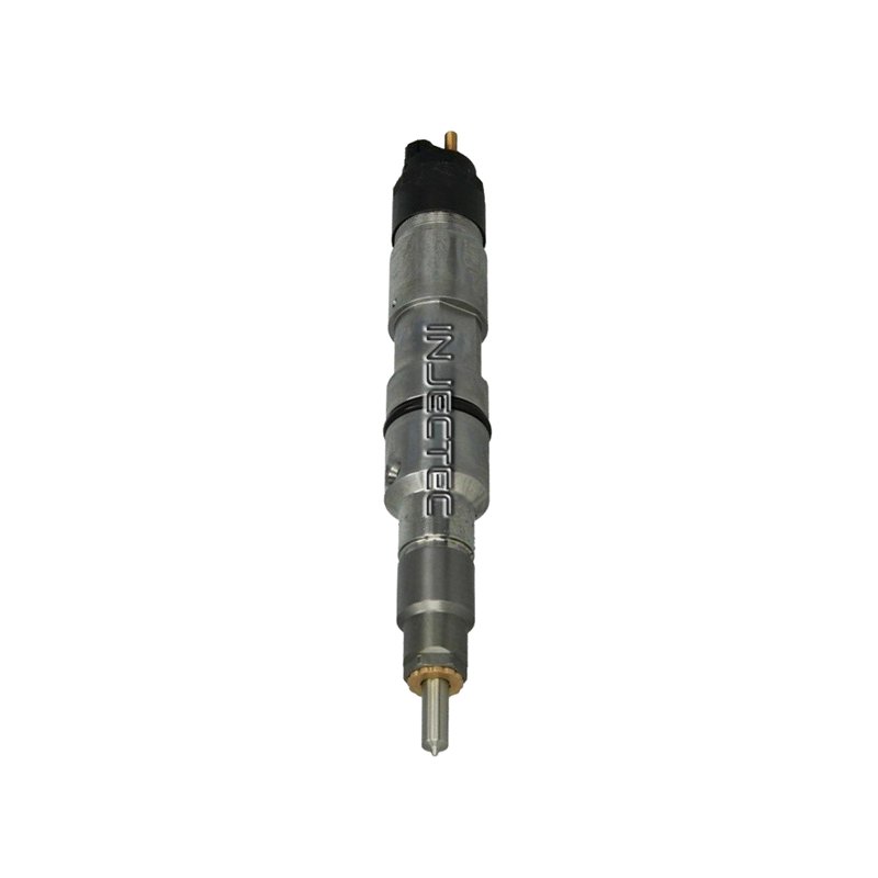 51101006070 BOSCH Injectoare