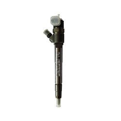 5258744 BOSCH Injectoare